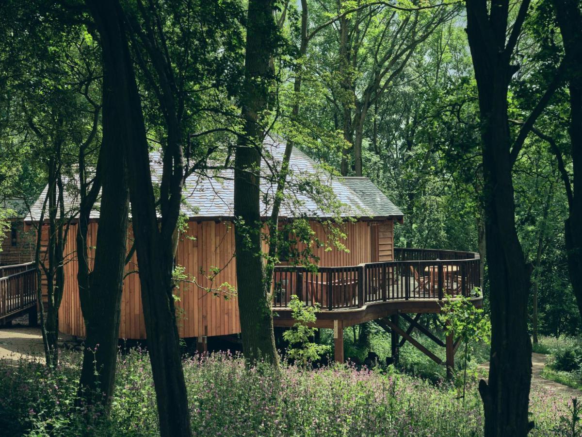 Wildhive Callow Hall Ashbourne  Exterior foto